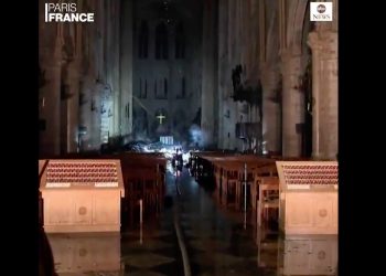 Pierwsze nagrania z wnętrza Notre Dame [WIDEO]