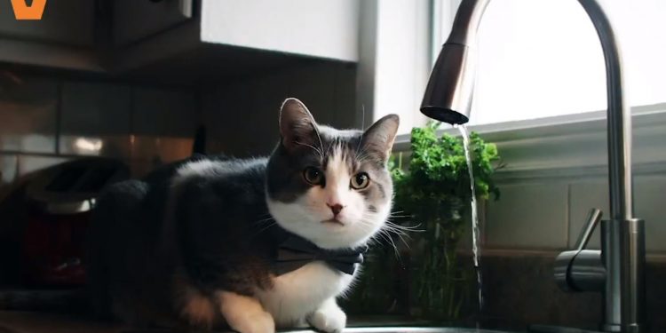 Biedroń wyśmiał Koalicję Europejską [WIDEO]