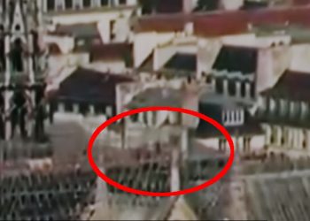 Pożar Notre Dame. Tajemnicze postaci na dachu katedry [WIDEO]