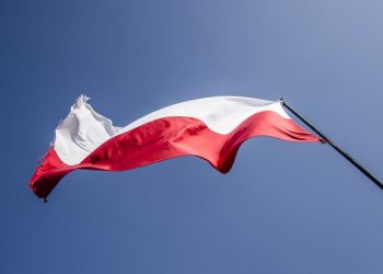 Nowy sondaż. PiS wygrywa z KE, Kukiz’15 nad progiem