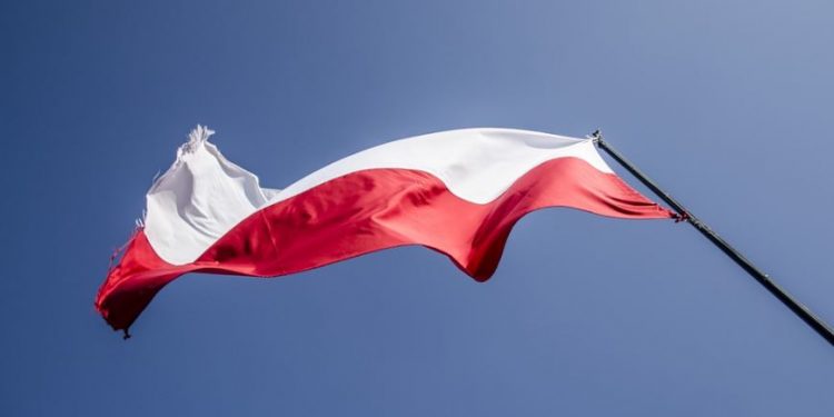 Nowy sondaż. PiS wygrywa z KE, Kukiz’15 nad progiem
