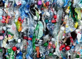 Preparat z UMK pomoże w walce z plastikowymi odpadami