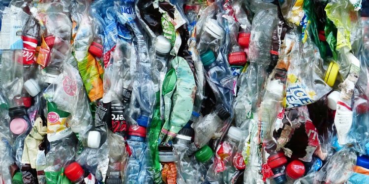 Preparat z UMK pomoże w walce z plastikowymi odpadami