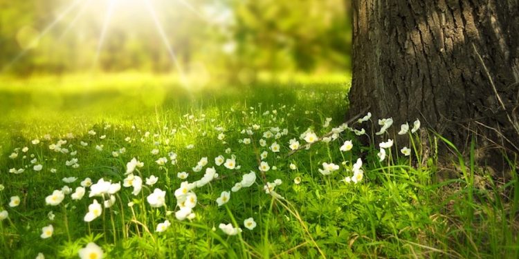 Lato na termometrach. W tym tygodniu będzie naprawdę ciepło