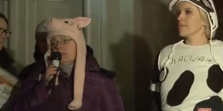 Nietypowa sytuacja na wiecu poparcia dla nauczycieli w Gdańsku [WIDEO]