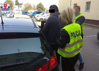 Zastrzelił z wiatrówki koty sąsiada. Grożą mu 3 lata więzienia [FOTO]