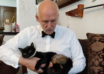 Korwin-Mikke: „Mój kot został postrzelony z wiatrówki”