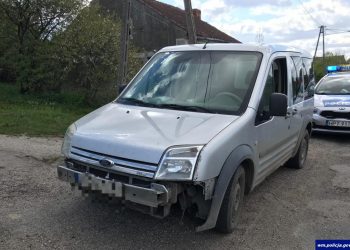 Przewoził dwa cielaki w bagażniku. Tłumaczenie zaskakuje