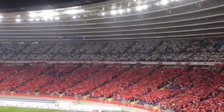 11 tys. kibiców o wyborach do PE. Wyjątkowy sondaż