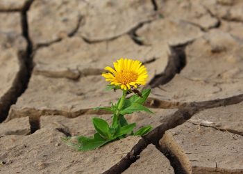 Hydrolog: w przyszłości wciąż możemy odczuwać braki wody w Polsce. Zwłaszcza wiosną