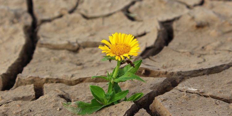 Hydrolog: w przyszłości wciąż możemy odczuwać braki wody w Polsce. Zwłaszcza wiosną