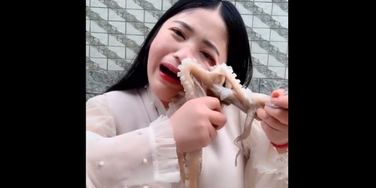 Chciała zjeść żywą ośmiornicę. Zwierzę zaatakowało