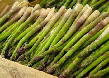 Polacy nie chcą zbierać szparagów w Niemczech. To przez 500+?
