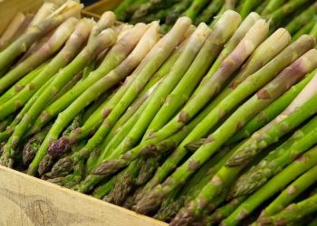 Polski dziennikarz zatrudnił się przy szparagach w Niemczech. Opisał, jak wygląda sytuacja