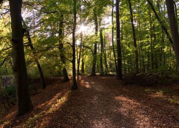 Tajemnicze dźwięki pod Lublinem. Mieszkańcy zaniepokojeni