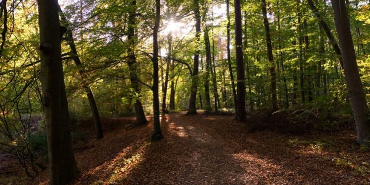 Tajemnicze dźwięki pod Lublinem. Mieszkańcy zaniepokojeni