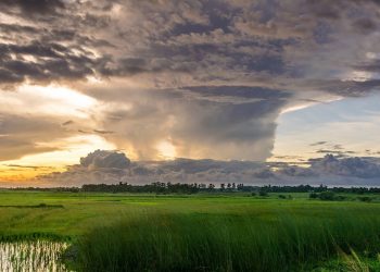 Ekspert: w Polsce odczuwamy już negatywne skutki zmian klimatu