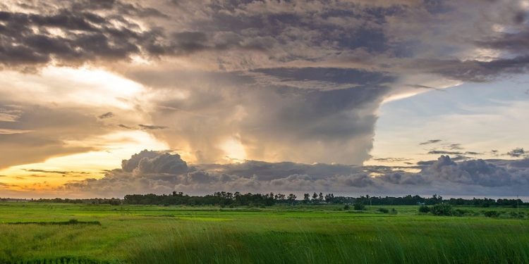 Ekspert: w Polsce odczuwamy już negatywne skutki zmian klimatu
