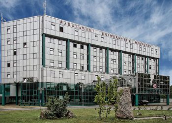 Jakie są najpopularniejsze kierunku studiów?