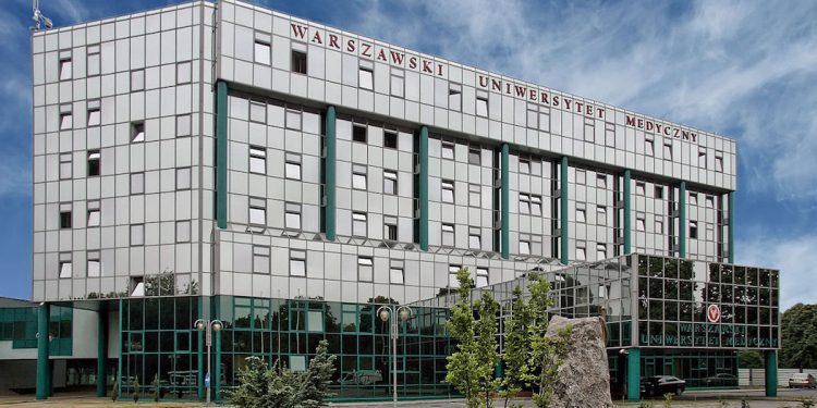 Jakie są najpopularniejsze kierunku studiów?