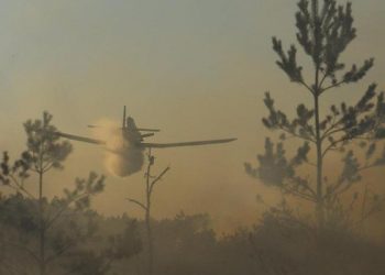 Ogromny pożar na granicy województw. Płonie 25 ha lasu