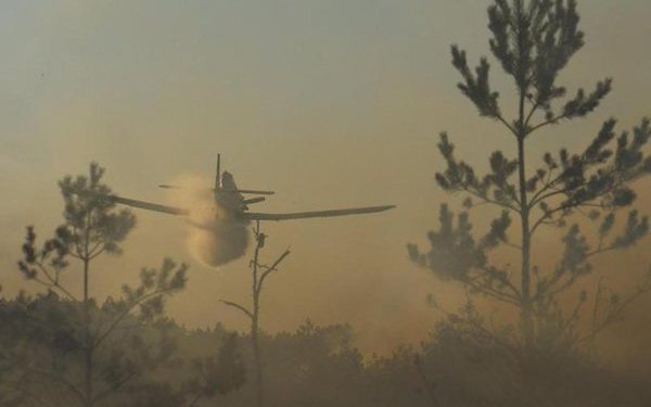 Ogromny pożar na granicy województw. Płonie 25 ha lasu