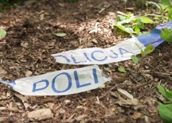 Mrowiny: Matka zabójcy i ofiary to kuzynki