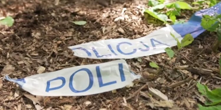 Mrowiny: Matka zabójcy i ofiary to kuzynki