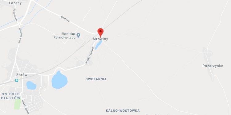 Sołtys wsi Mrowiny zabrała głos ws. tragedii