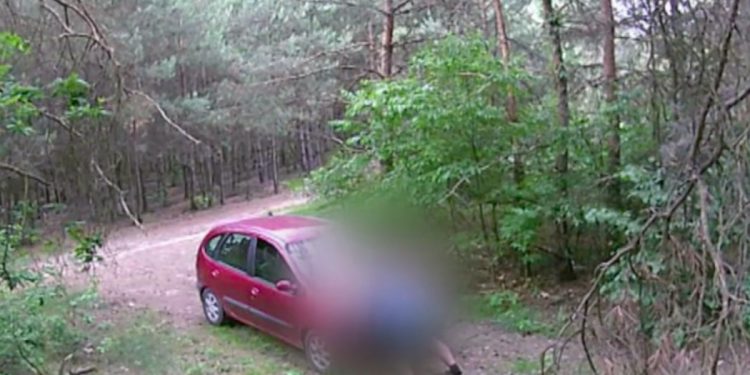 Sprawdzał kto zaśmieca jego działkę. Zaskakujące nagranie