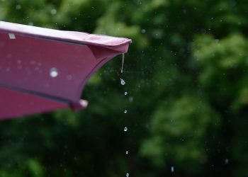 Miasto zachęca do zbierania… deszczówki. I oferuje wysokie dotacje