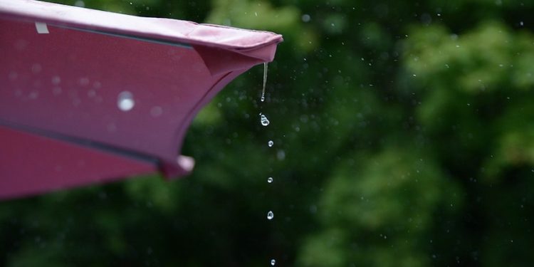 Miasto zachęca do zbierania… deszczówki. I oferuje wysokie dotacje