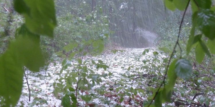 Uwaga na burze z gradem. IMGW wydał ostrzeżenia