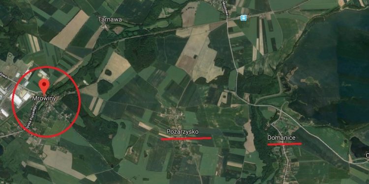 Brutalne morderstwo 10-latki na Dolnym Śląsku. Policja szuka sprawcy i apeluje o pomoc