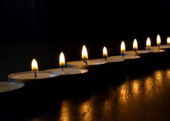 Mrowiny. Śledczy dementuje informacje internautów