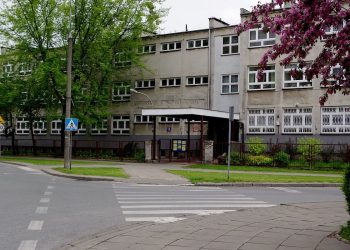 Skandaliczne słowa senatora PiS. Dzieciom, które nie dostały się do szkoły radzi… wyjazd za granicę!