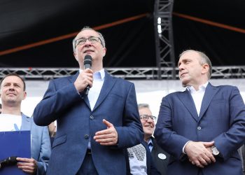 Jak SLD wystartuje w wyborach? Podjęto decyzję