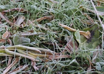 Anomalie pogodowe na Dolnym Śląsku