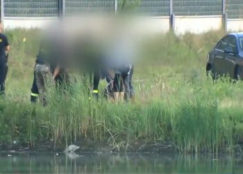 TVP Info: Dawid Żukowski miał rany kłute w okolicach serca