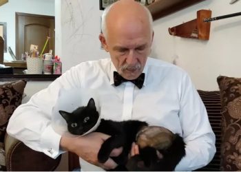 Janusz Korwin-Mikke mógł stracić kota. Na ratunek ruszył Odi