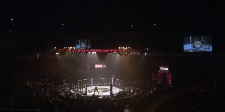 Adam Zając ścigany przez policję. Zawodnik MMA szefem mafii?