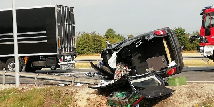 Koszmarny wypadek w Pabianicach. Kierowca nie miał szans [FOTO]