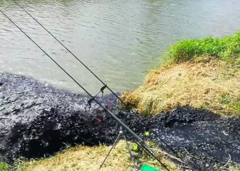 Wędkarz udostępnił wstrząsające nagranie. Pokazał, co wpływa do rzeki