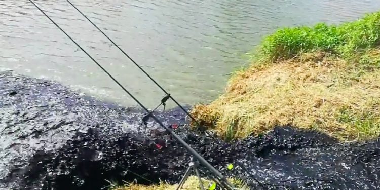 Wędkarz udostępnił wstrząsające nagranie. Pokazał, co wpływa do rzeki