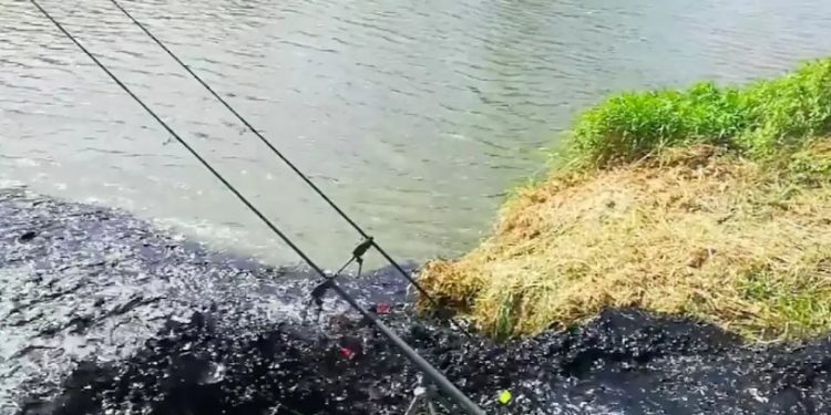 Czarna breja w rzece. Władze uspokajają. „Woda jest czysta”