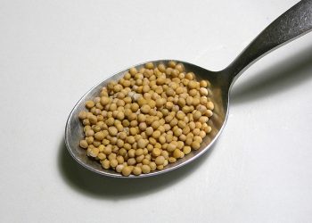 Przyprawa z salmonellą. Prymat wycofuje ten rodzaj gorczycy