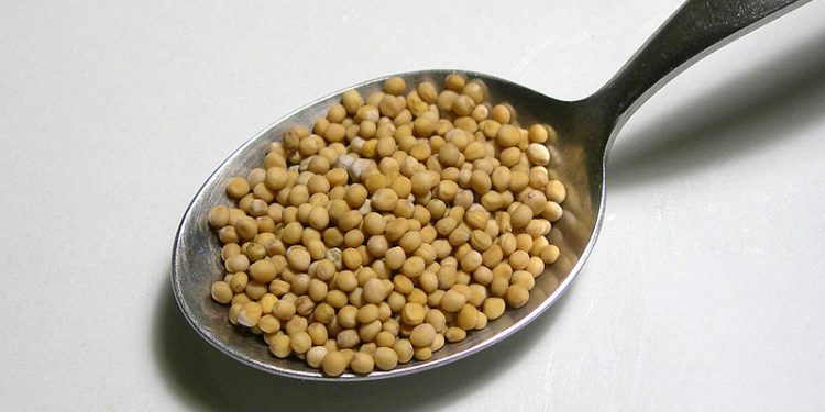 Przyprawa z salmonellą. Prymat wycofuje ten rodzaj gorczycy