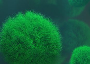 Grypa równie groźna u dzieci i seniorów. Eksperci o skuteczności szczepień