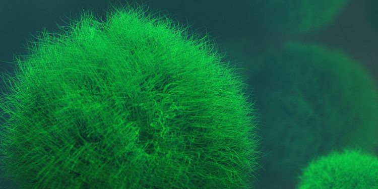 Grypa równie groźna u dzieci i seniorów. Eksperci o skuteczności szczepień