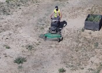 Warszawa: Zamiast trawnika „koszą piaskownice”? Internauci zdumieni